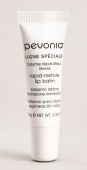Pevonia Botanica Омолаживающий бальзам для губ с витаминами и аминокислотами 10 мл фотография